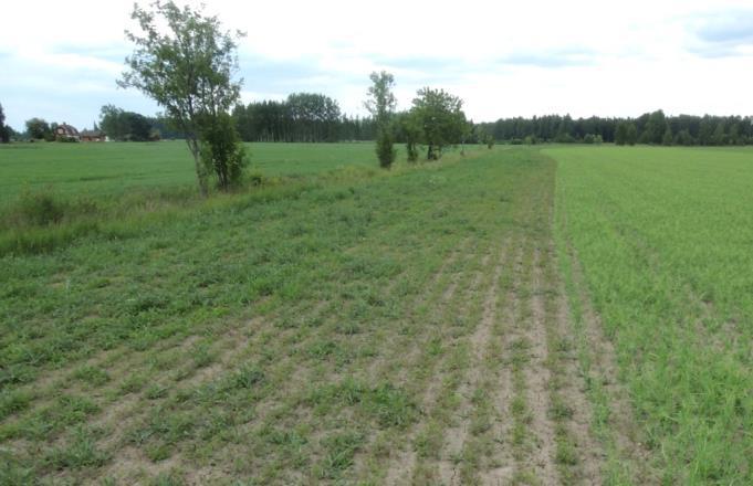 medan sånglärkebon är rent omöjliga, åtminstone från traktorn. Om man hittar ett tofsvipebo vid vårbruket eller i ogräsharvningen så rekommenderar vi att man antingen kör runt det eller flyttar boet.