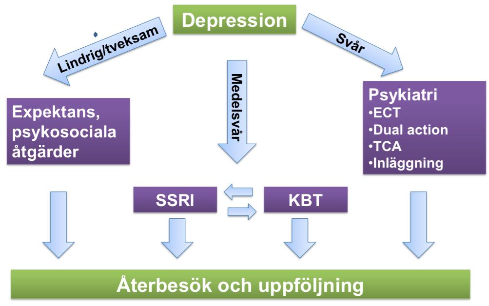 Man kan prata om 3 typer av profiler på depression vilket kan härledas till olika signalsubstansbrist. Man kan då välja läkemedel anpassat till depressionssymtomen/ typ av depression 7.