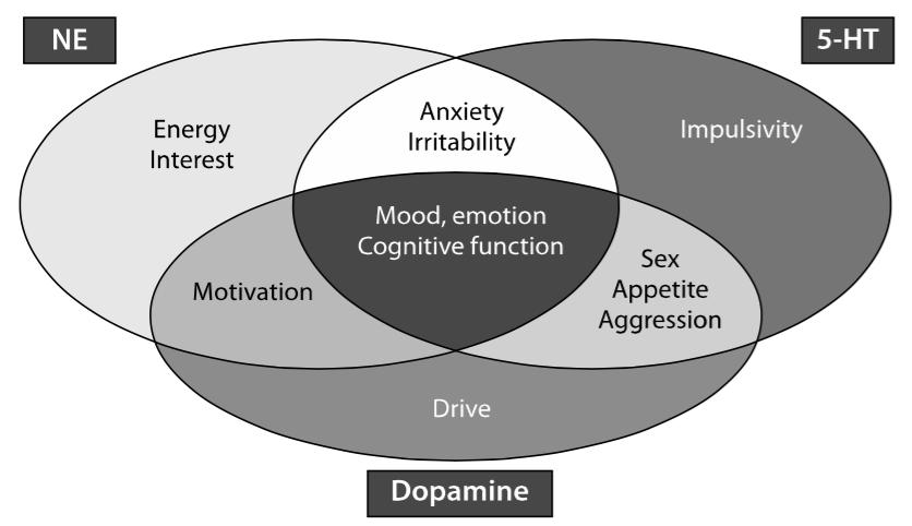 KBT kartlägger tankar och beteende om är kopplade till negativa känslor, tex depression. Genom kognitiva metoder påverkas dysfunktionella tankemönster, tex jag är en dålig människa.