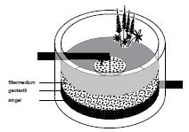Figur 3 Exempel på Rain garden längs en väg, observera utformning av kantsten (Källa: VegTech) Figur 4 Rain