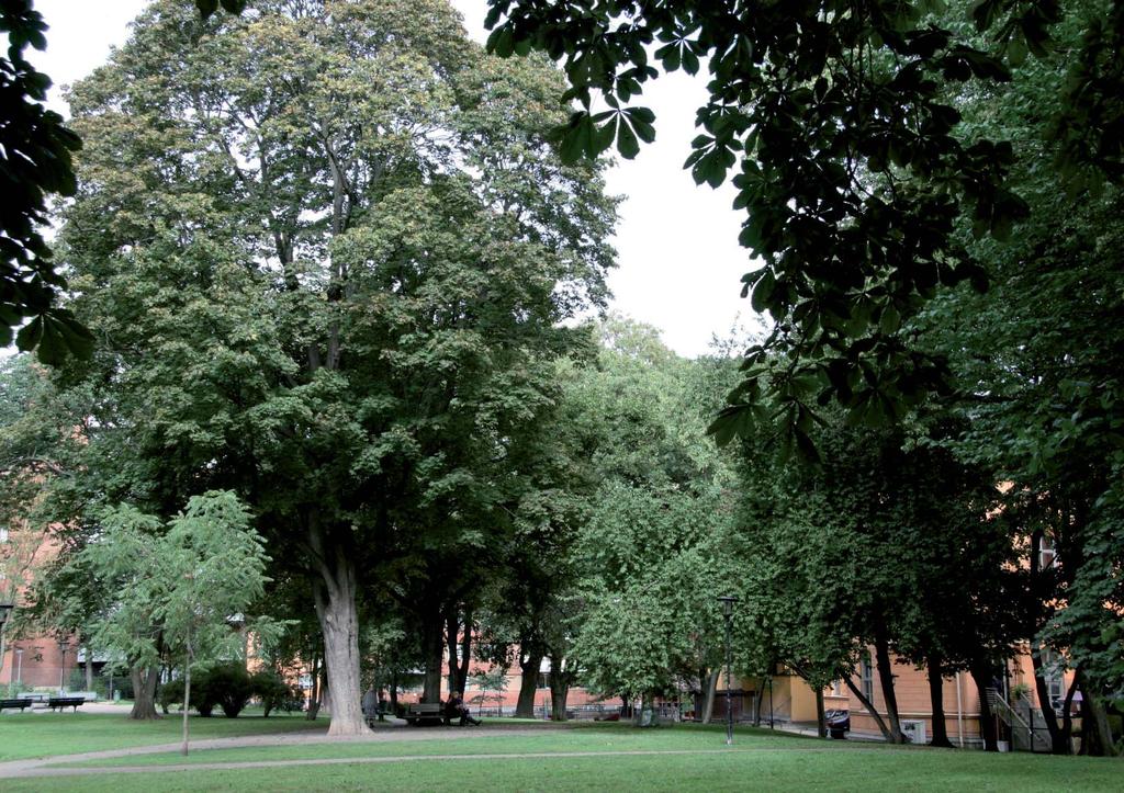 Parksamråd okt 06 Ekehusparke - aalys & mål Bakgrud Beökstrycket i Norrmalms parker är högt. Våra gröa rum behöver städigt apassas för e växade befolkig.