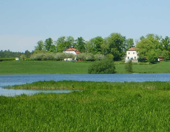 10 MYLLRANDE VÅTMARKER FIGUR 38. Vy över anlagd våtmark i odlingslandskapet som gynnar många fåglar och insekter. Foto: Jan Hägg, Länsstyrelsen i Södermanlands län. 10.5.