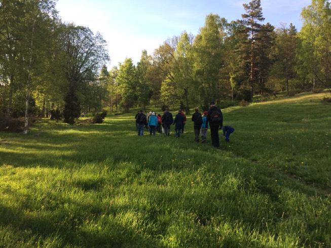 Fågelvandring vid Vigelsjö naturreservat och Ludden torsdagen den 23 maj Nu har de flesta flyttfåglarna kommit åter och sjunger förhoppningsvis för fullt!