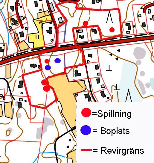 6. Flygekorre Flygekorren räknas som en nära hotad art (NT) enligt den nyaste klassificeringen av våra utrotningshotade arter från 2015 och den finns även med på bilaga IVa i EU:s habitatdirektiv.