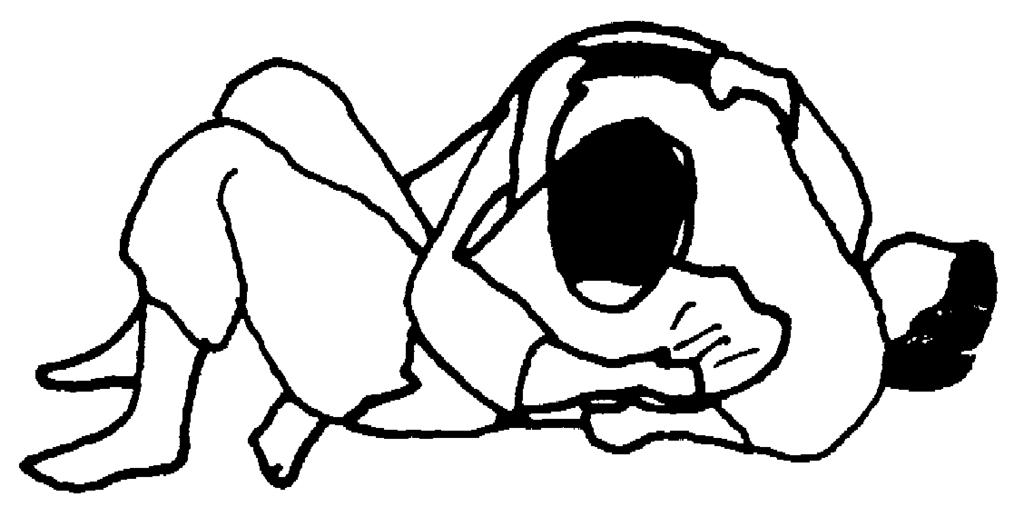 O-soto-otoshi O-uchi-gari O-goshi