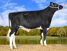 Hansa P Stmb nr 466 Kod nr 9-7764 F: Superhero M: WIL Herz P VG-85 Hotspot P Stmb nr 679 Kod nr 9-7855 F: Superhero M: WIL Herz P VG-85 MF: Powerball P MM: WIL Hira VG-85 MF: Powerball P MM: WIL Hira