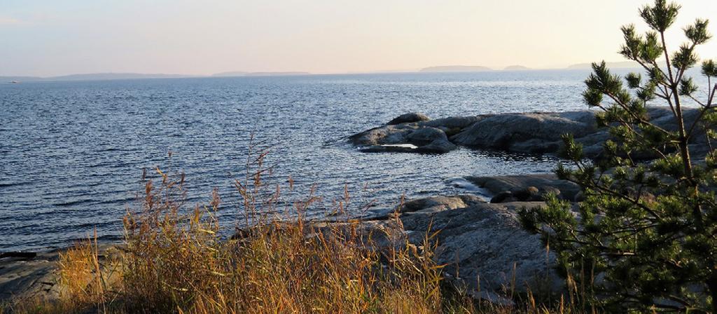 Värmdö Vandring i Björnö naturreservat Från Björkviks brygga tar vi oss in i ett mycket populärt och lättgånget område som bjuder på en fantastisk natur, både på land och vid stränderna.