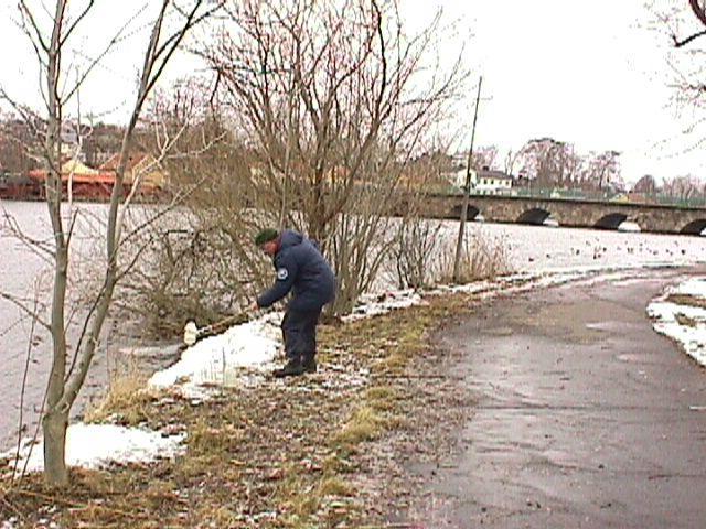 Temperatur Under 24 var januari 1,9 grader kallare än normalt, medan april, juli och december låg 1,4, 1,6 respektive 2, grader över genomsnittet för 1996-23 (Figur 5).