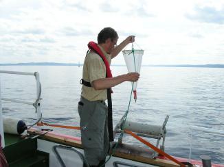 2.3 Växtplankton Förf: Sten Backlund, Pelagia Miljökonsult AB Sammanfattning Årets växtplanktonutveckling var något rikligare jämfört med tidigare år.