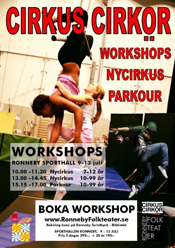 Cirkus Cirkör Workshops,