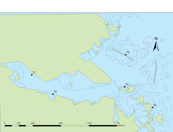 Figur 1. Fem lokaler (T1- T5) med intransplanterade musslor i Oskarshamns hamn samt givarlokalen T norr om hamnen som även fungerade som kontroll.