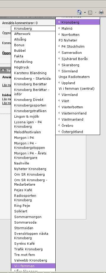 Vi i femman webben Lathund Så här gör du Använd dig av bilderna från förra kapitlet när du skapar den lokala sidan. Där finns förklarat vad som ska finnas i de olika avdelningarna på sidan.