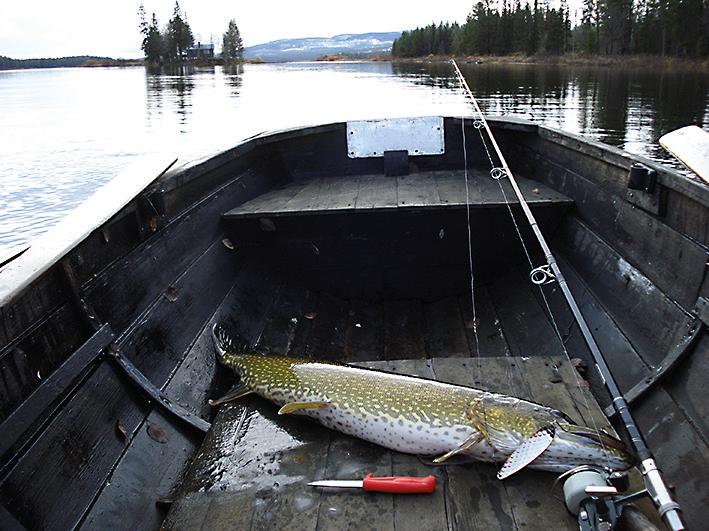 Biljetter säljs i anslutning till föreställningen. Biljettpris: 100 kr, ungdom 50 kr. Arrangör: Sorsele spelmän med stöd från Norrlandsoperan. BOKSLÄPP: FISKEPOESI 8 MAJ KL 19.