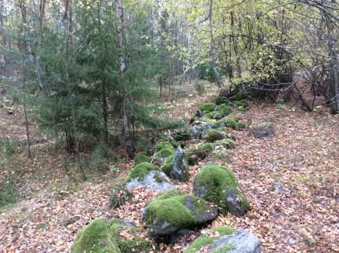 Objekt ID 9 7 Håkan Andersson Datum 2016-10-13 Naturtyp Berg och sten värde Odlingsröse/stenmur 2 Visst biotopvärde 1 Obetydligt artvärde 4 Visst 2 Nej Inga