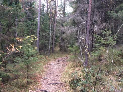 Objekt ID 10 7 Håkan Andersson Datum 2016-10-14 00:00 Naturtyp Skog och träd värde Barrblandskog 3 Påtagligt biotopvärde 1 Obetydligt artvärde 3 Påtagligt 1 Ja Tofsmes Barrskog i ganska flack terräng.