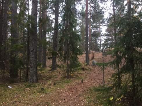 Objekt ID 20 9 Olof Rosenkvist Datum 2016-10-11 00:00 Naturtyp Skog och träd värde Blandskog 2 Visst biotopvärde 1 Obetydligt artvärde 4 Visst 2 Nej Inga funna naturvårdsarter Äldre blandskog med