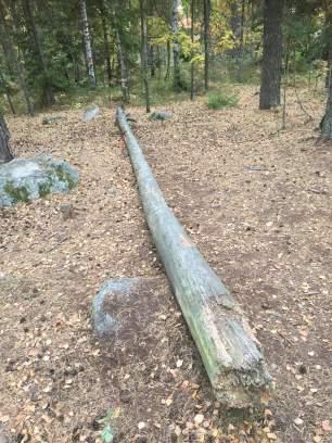 Objekt ID 21 9 Olof Rosenkvist Datum 2016-10-11 00:00 Naturtyp Skog och träd värde Hällmarkstallskog 2 Visst biotopvärde 1 Obetydligt artvärde 4 Visst 2 Nej Blåmossa Hällmarkstallskog med medelålders