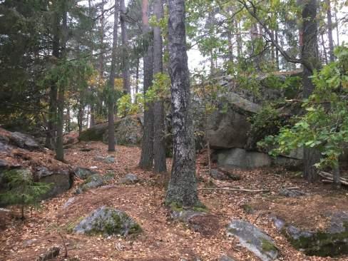 Objekt ID 22 9 Olof Rosenkvist Datum 2016-10-12 00:00 Naturtyp Skog och träd värde Granskog 3 Påtagligt biotopvärde 2 Visst artvärde 3 Påtagligt 2 Nej Spillkråka, tofsmes, mård Äldre granskog med