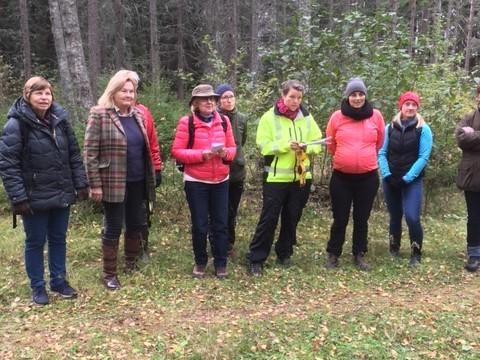 Örebrostammen Örebrostammen har haft en temadag: Mer varierat skogsbruk med fokus på lärk. Monika Pettersson från Skogsstyrelsen ledde dagen vid Hjälmsätter nära Hallsberg.