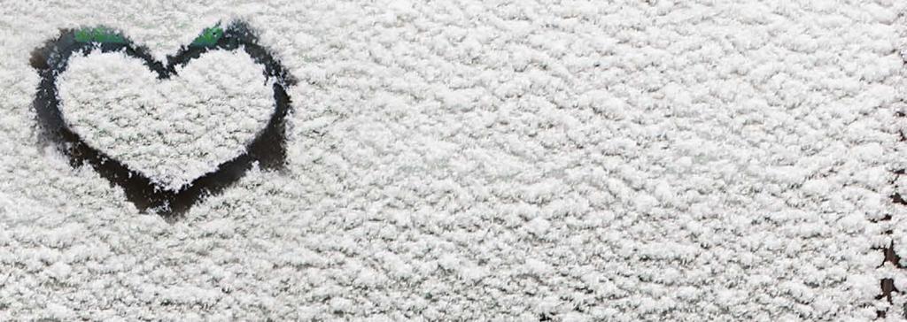 LT/ULT VINTER Trenta MS Eskimo SUV 2 80-Profil 14 185R14C 102/100 Q Trenta M+S 570811 867 1084 E B ) 72 195R14C 106/104 P Trenta M+S
