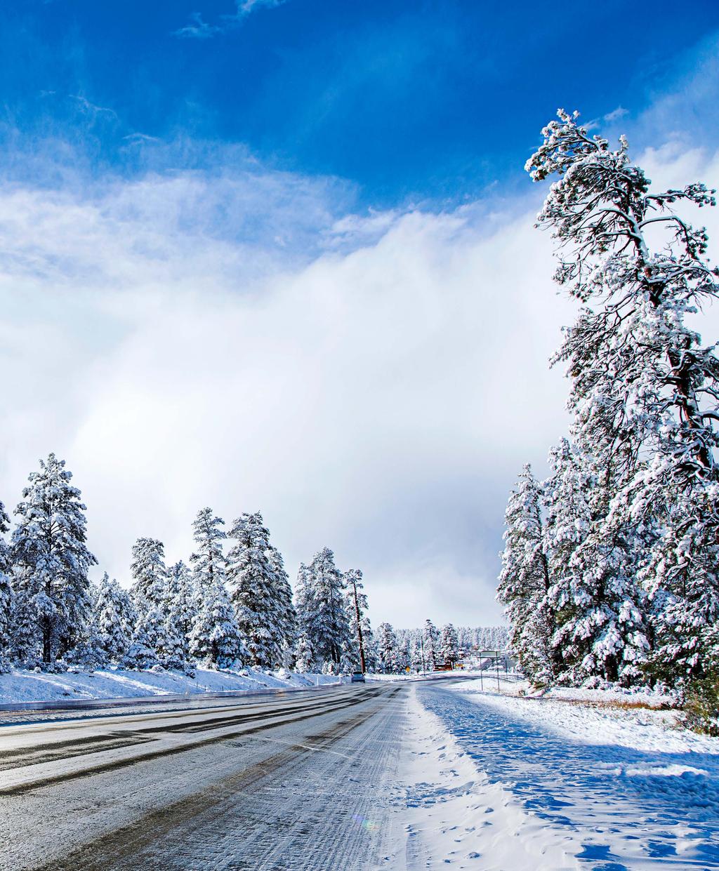 ETT NORDISKT VINTERDÄCK FÖR TILLFÖRTGT GREPP PÅ IS OCH SNÖ ETT NORDISKT VINTERDÄCK FÖR EXTREMA