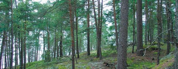 3. Naturvårdsmålen i Ekopark Norra Vätterns skärgård Beskrivning av de ekologiska målbilderna i Ekopark Norra Vätterns skärgård Som ett resultat av fältinventeringen och de efterföljande landskaps-