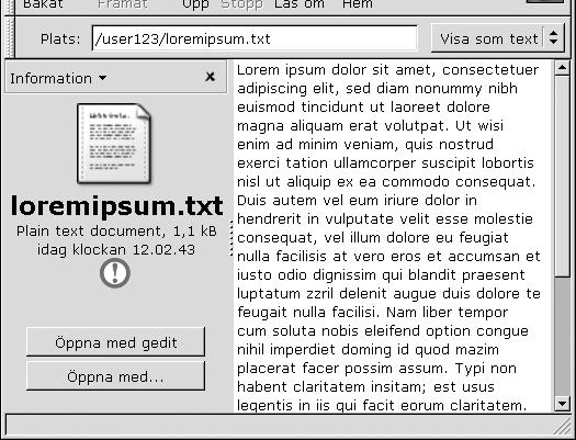 Visningspanel I visningspanelen kan du visa innehållet i följande: Vissa filtyper Mappar FTP-platser Platser som motsvarar speciella URI:er Filhanteraren innehåller visningskomponenter, som du kan