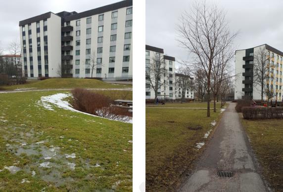 4 Figur 4: Bilder från platsbesök 20160310. TH: Marken visade tecken på att vara vattenmättad på många ställen.