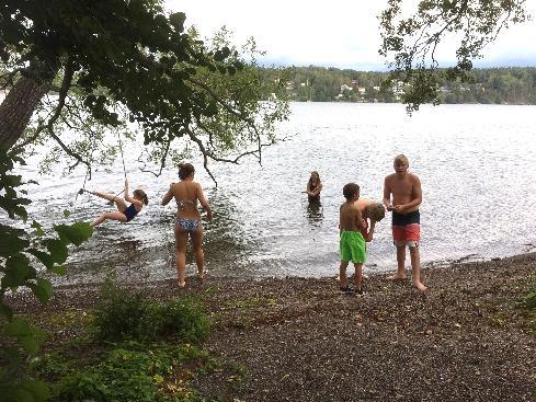 Hösttermin för Juniorsektionen i SBS Nu har vi börjat segla 2-krona och Optimist igen efter vårt sommaruppehåll.