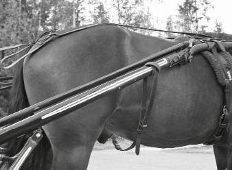 En resgjord är en rem som går under hästens mage i närheten av ljumsken och den fästs i skalmarna. Den hindrar hästen att slå över om den reser sig.