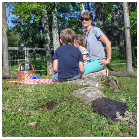 Ät din matsäck vid anvisade platser Att äta picknick på marken i en djurhage kan kännas lockande. Det ska dock alltid undvikas.