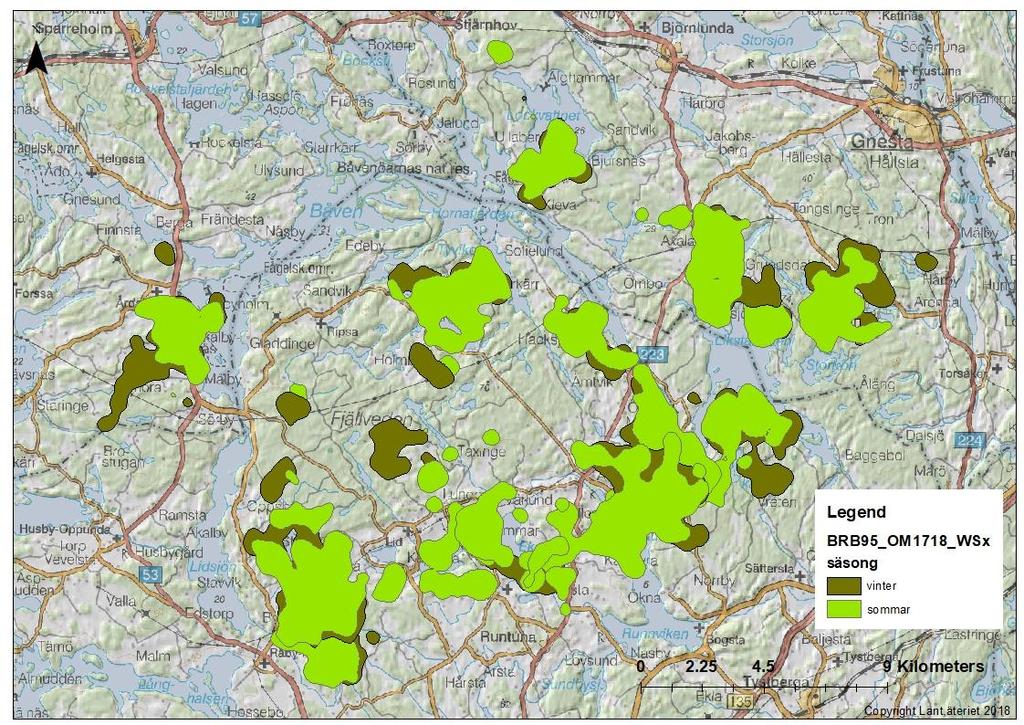 från hans vinterområde jämfört med älgkornas där säsongsområdena överlappar till största del.