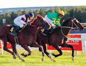 Örgryte-löpning, Börjes Champion ARK Cup TÄBY GALOPP MÅNDAG AUGUSTI Uppfödarnas Afton!