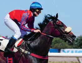 TIPS & RANK V & V JÄGERSRO GALOPP BANKOD AV ULF ZEIDER Lopp Lopp - V- Lopp - V- Lopp - V-, V- Lopp - V-, V- Lopp - V-, V- Lopp - V- OBS! Loppet ingår INTE i något av seriespelen!