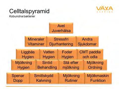 Rådgivning juverhälsa Juverhälsa på nätet Juverhälsa på nätet (JHN) är en ny webbtjänst med inriktning på förebyggande juverhälsovård på besättningsnivå som ersätter det tidigare PC programmet