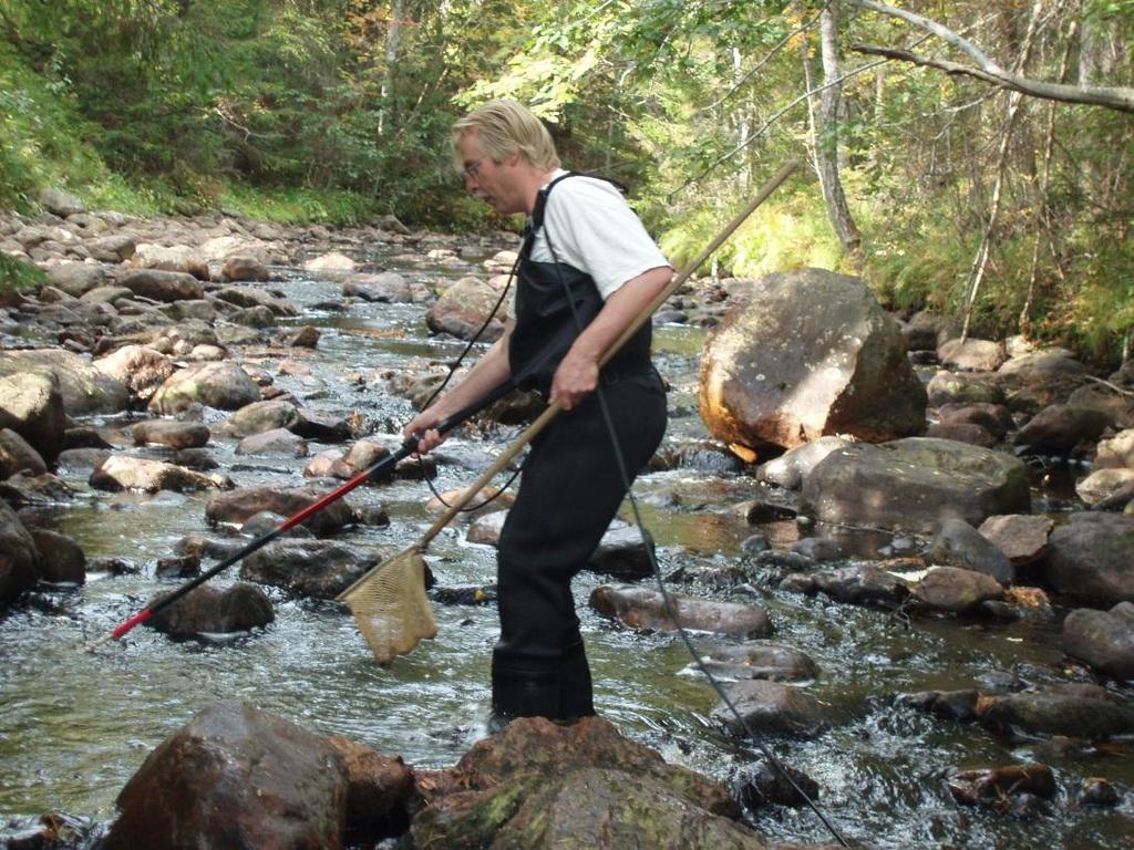 www.lansstyrelsen.