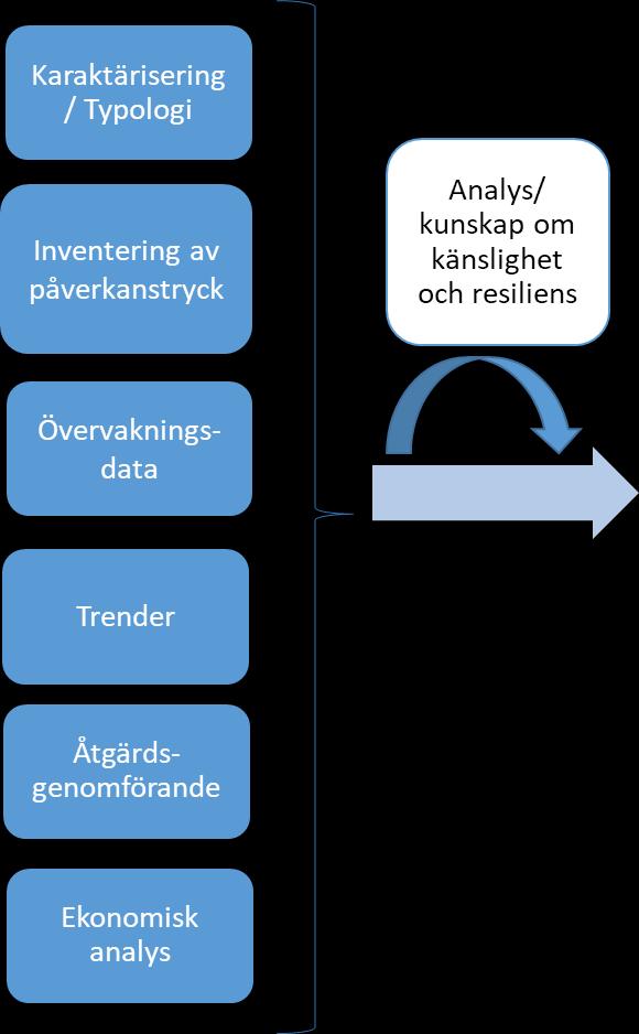 Kartläggning och analys 2.