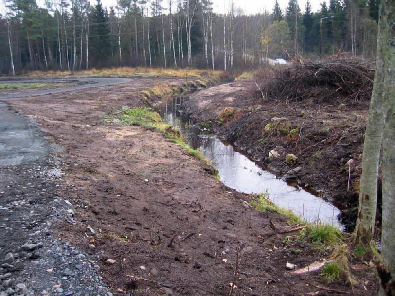 Ex em pel på oför sik tig röj ning för häs tha gar, där man ta git bort skug gan de träd ut med Is sjö bäck