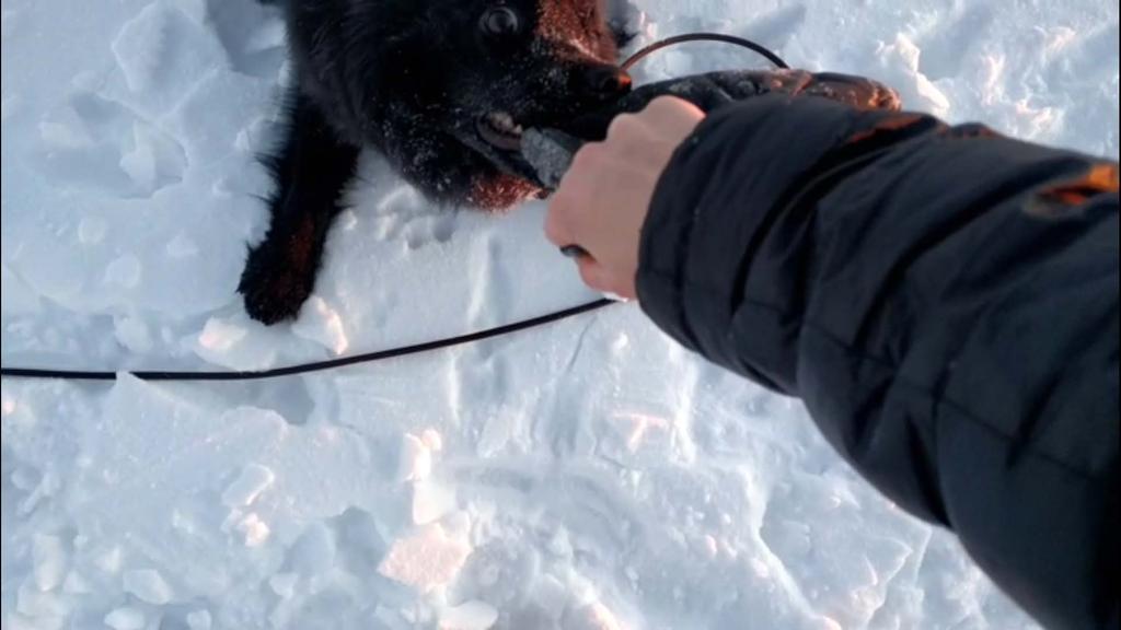 Vad gör ni för aktiviteter tillsammans? Vi gör väldigt mycket tillsammans. Är vi inte på jobbet så kan vi vara i skogen eller på stranden/i havet/sjön.