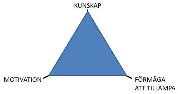 Det andra typfallet benämns Det balanserade företaget där olika dimensioner av kompetens balanserar varandra.