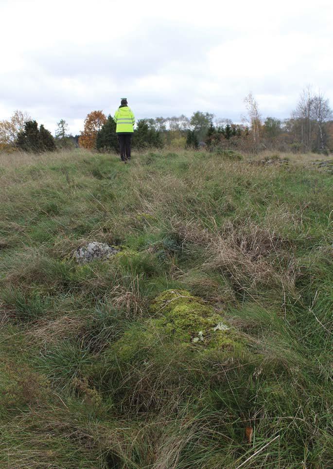 Törnevalla 284:1 - Hägnadssystem Hägnadssystemet Törnevalla 284:1 är beläget i en hagmark kallad Löthagen i den nordvästra delen av utredningsområdet.