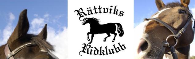 Gymnastik Rättviks Gymnastikklubb erbjuder gratis gympapass enligt nedan för alla sportlovslediga.