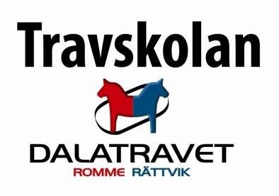 Trav Kom och prova på trav, körtur i skogen m m med våra ponnyer under sportlovet Travläger: Tisdag 26/2-torsdag 28/2 kl.