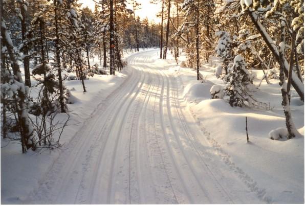 Skidspår Märkta skidspår finns vid tillräcklig snötillgång från spårcentralerna vid: * Jarlstugan * Vidablick/Söderås * Motorbanan/Kopparrännsspåret *