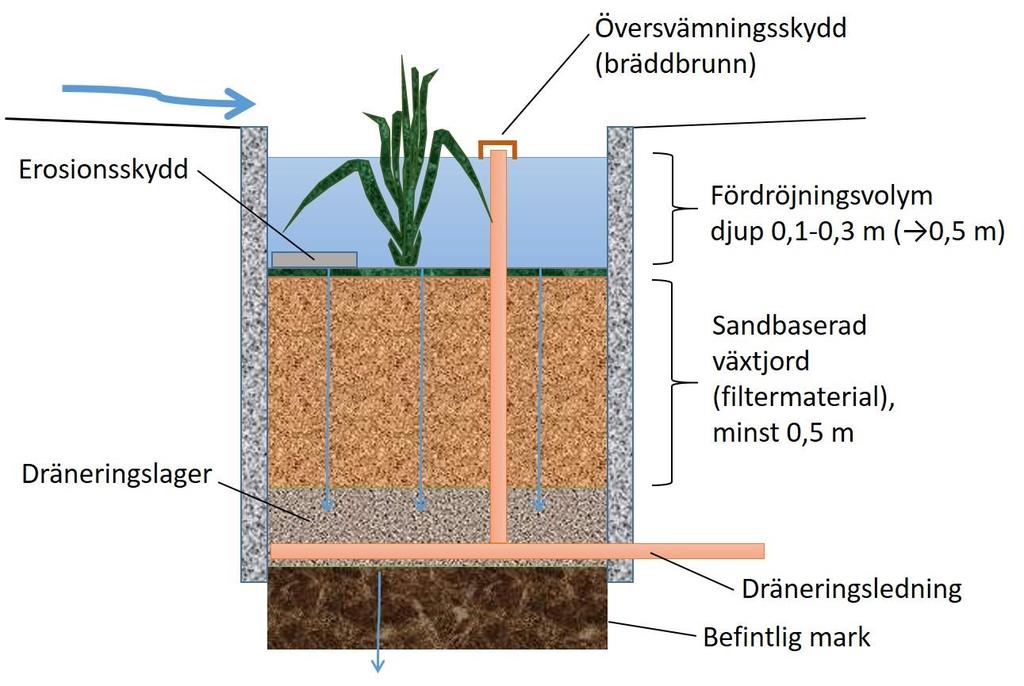 drygt fem millimeter nederbörd om taket är relativt torrt när regnet börjar. Ett intensivt tak med en mäktighet på över 15 centimeter kan fördröja och magasinera cirka 20 millimeter nederbörd.
