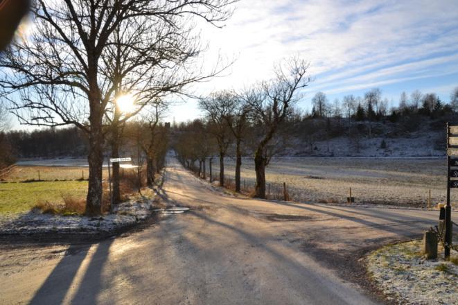 Bakgrund Motion om asfaltering med två alternativ Behov av upprustning av vår grusväg fram till backen