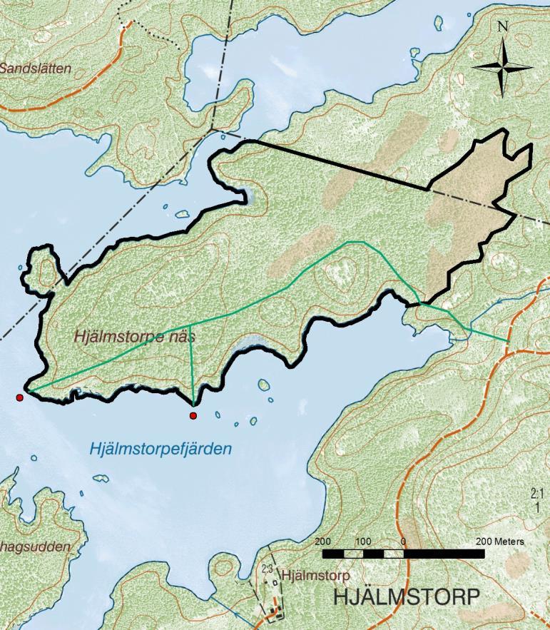 Skötselområde 6, (anordningar för friluftslivet) Beskrivning För friluftslivet är detta en orörd, naturskogsliknande miljö som visar hur skogen ser ut efter relativt lång tids fri utveckling.