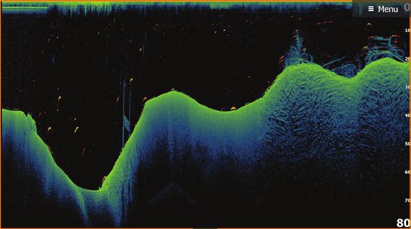 DownScan FishReveal Markera FishReveal för att visa