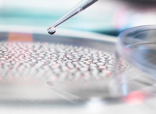 November 2018 RHENMAN HEALTHCARE EQUITY L/S Enastående långsiktig avkastning i en komplex sektor IC1 (EUR) +4,96% IC1 (EUR) +13,84% RC1 (SEK) +4,46% YTD RC1 (SEK) +17,71 % +20% genomsittlig årlig