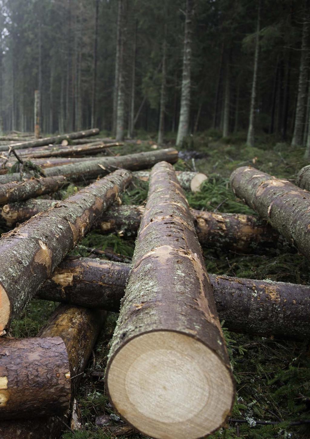 VIRKESVÄRDESTEST 2016 Wood Value